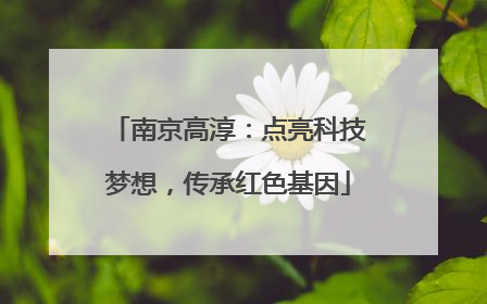 南京高淳：点亮科技梦想，传承红色基因