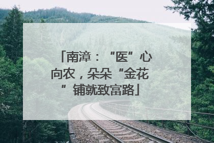 南漳：“医”心向农，朵朵“金花”铺就致富路