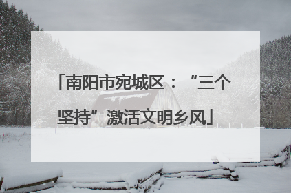 南阳市宛城区：“三个坚持”激活文明乡风