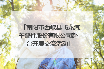 南阳市西峡县飞龙汽车部件股份有限公司赴台开展交流活动
