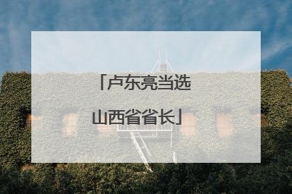 卢东亮当选山西省省长