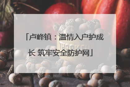 卢峰镇：温情入户护成长 筑牢安全防护网