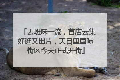 去班味一流，首店云集好逛又出片，天目里国际街区今天正式开街