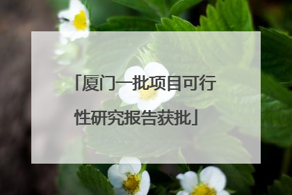 厦门一批项目可行性研究报告获批