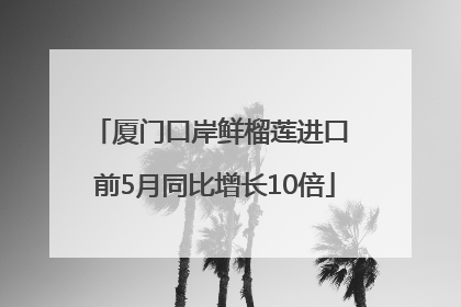 厦门口岸鲜榴莲进口 前5月同比增长10倍