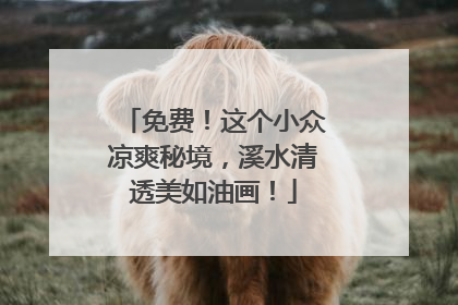 免费！这个小众凉爽秘境，溪水清透美如油画！