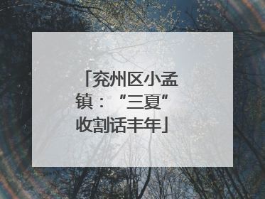 兖州区小孟镇：“三夏”收割话丰年