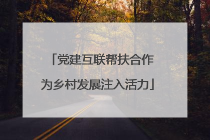 党建互联帮扶合作 为乡村发展注入活力