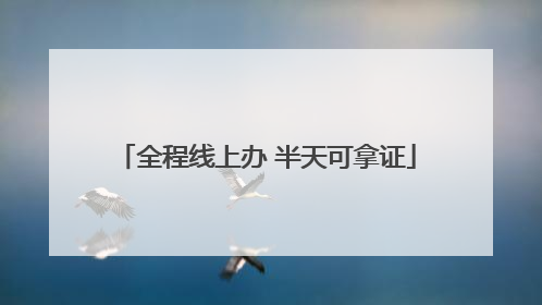 全程线上办 半天可拿证