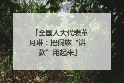 全国人大代表董月琳：把侗族“讲款”用起来