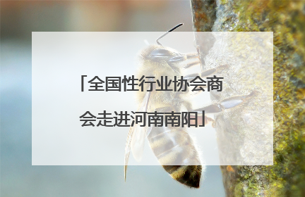 全国性行业协会商会走进河南南阳
