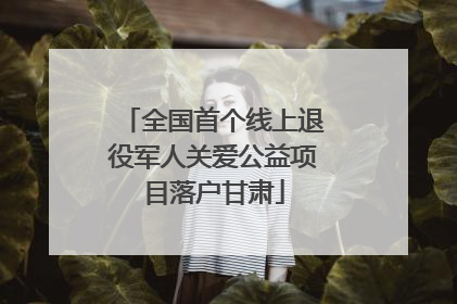 全国首个线上退役军人关爱公益项目落户甘肃