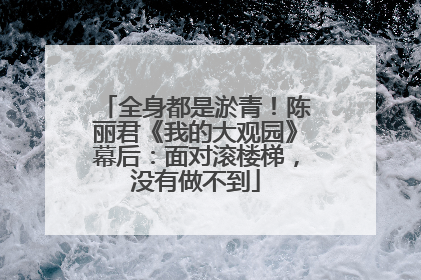 全身都是淤青！陈丽君《我的大观园》幕后：面对滚楼梯，没有做不到