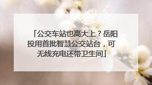 公交车站也高大上？岳阳投用首批智慧公交站台，可无线充电还带卫生间