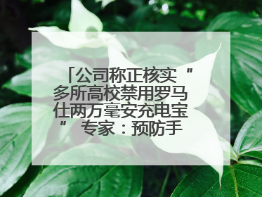 公司称正核实“多所高校禁用罗马仕两万毫安充电宝” 专家：预防手机没电选中等体积产品即可