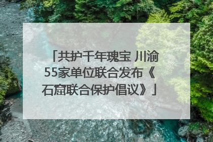 共护千年瑰宝 川渝55家单位联合发布《石窟联合保护倡议》