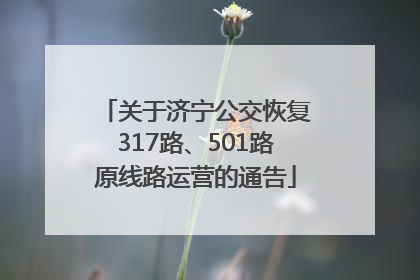 关于济宁公交恢复317路、501路原线路运营的通告