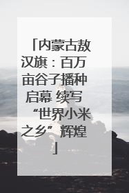 内蒙古敖汉旗：百万亩谷子播种启幕 续写“世界小米之乡”辉煌