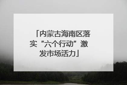 内蒙古海南区落实“六个行动”激发市场活力