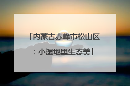 内蒙古赤峰市松山区：小湿地里生态美