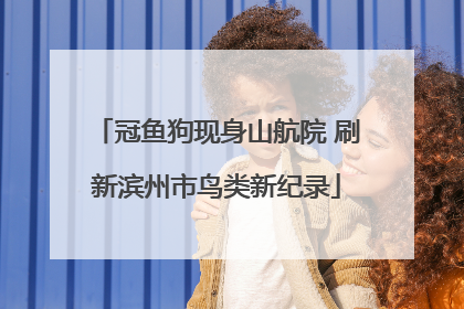 冠鱼狗现身山航院 刷新滨州市鸟类新纪录