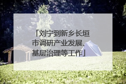 刘宁到新乡长垣市调研产业发展、基层治理等工作