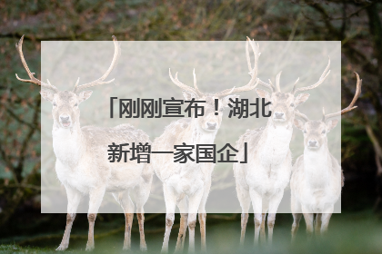 刚刚宣布！湖北新增一家国企
