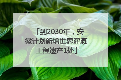 到2030年，安徽计划新增世界灌溉工程遗产1处