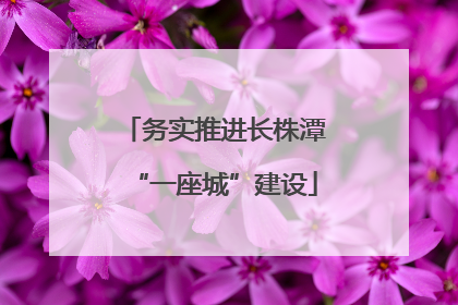 务实推进长株潭“一座城”建设