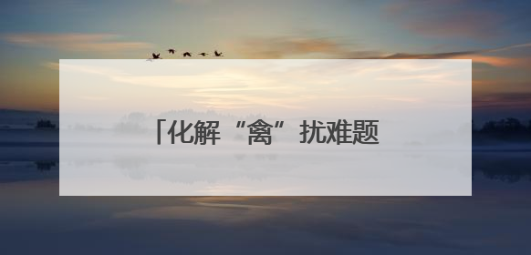 化解“禽”扰难题 崂山执法守护小区和谐宜居环境