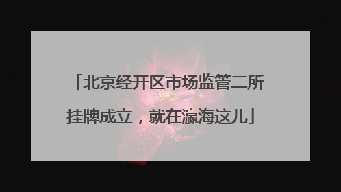 北京经开区市场监管二所挂牌成立，就在瀛海这儿