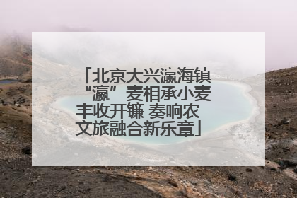 北京大兴瀛海镇“瀛”麦相承小麦丰收开镰 奏响农文旅融合新乐章
