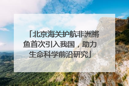 北京海关护航非洲鳉鱼首次引入我国，助力生命科学前沿研究
