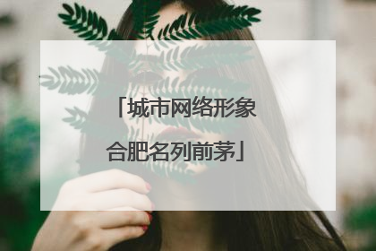 城市网络形象合肥名列前茅