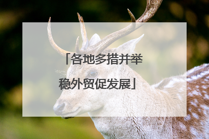 各地多措并举稳外贸促发展