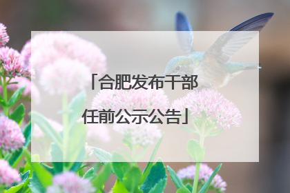 合肥发布干部任前公示公告