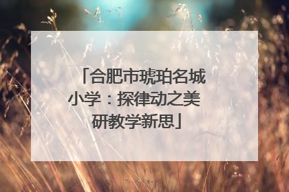 合肥市琥珀名城小学：探律动之美 研教学新思