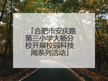 合肥市安庆路第三小学大杨分校开展校园科技周系列活动