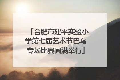 合肥市建平实验小学第七届艺术节巴乌专场比赛圆满举行