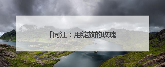 同江：用绽放的玫瑰 推动乡村经济振兴