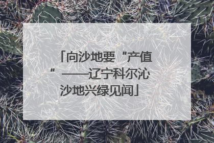 向沙地要“产值”——辽宁科尔沁沙地兴绿见闻