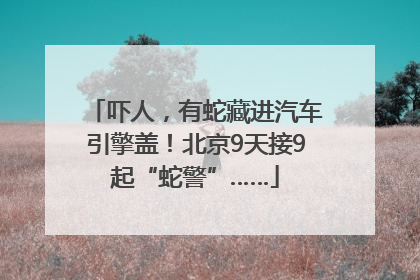 吓人，有蛇藏进汽车引擎盖！北京9天接9起“蛇警”……