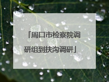 周口市检察院调研组到扶沟调研