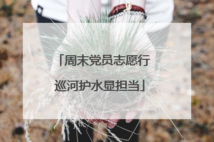 周末党员志愿行 巡河护水显担当