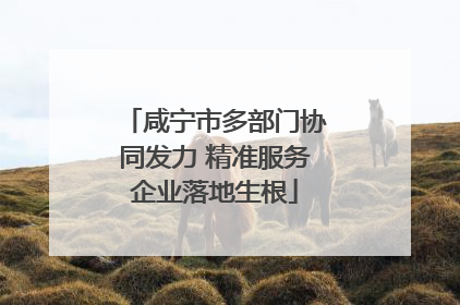 咸宁市多部门协同发力 精准服务企业落地生根