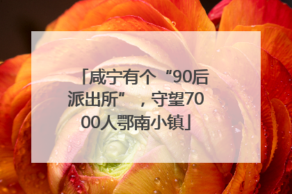 咸宁有个“90后派出所”，守望7000人鄂南小镇