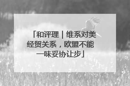 和评理｜维系对美经贸关系，欧盟不能一味妥协让步