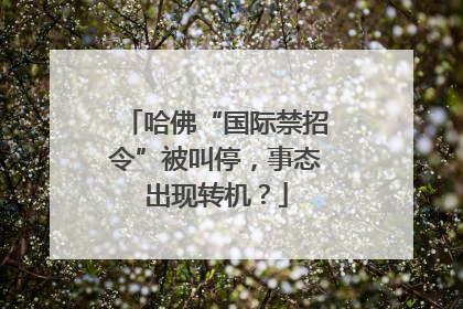 哈佛“国际禁招令”被叫停，事态出现转机？