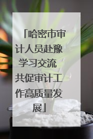 哈密市审计人员赴豫学习交流 共促审计工作高质量发展