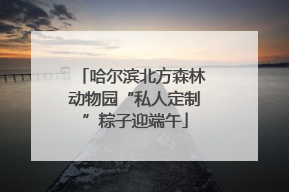 哈尔滨北方森林动物园“私人定制”粽子迎端午